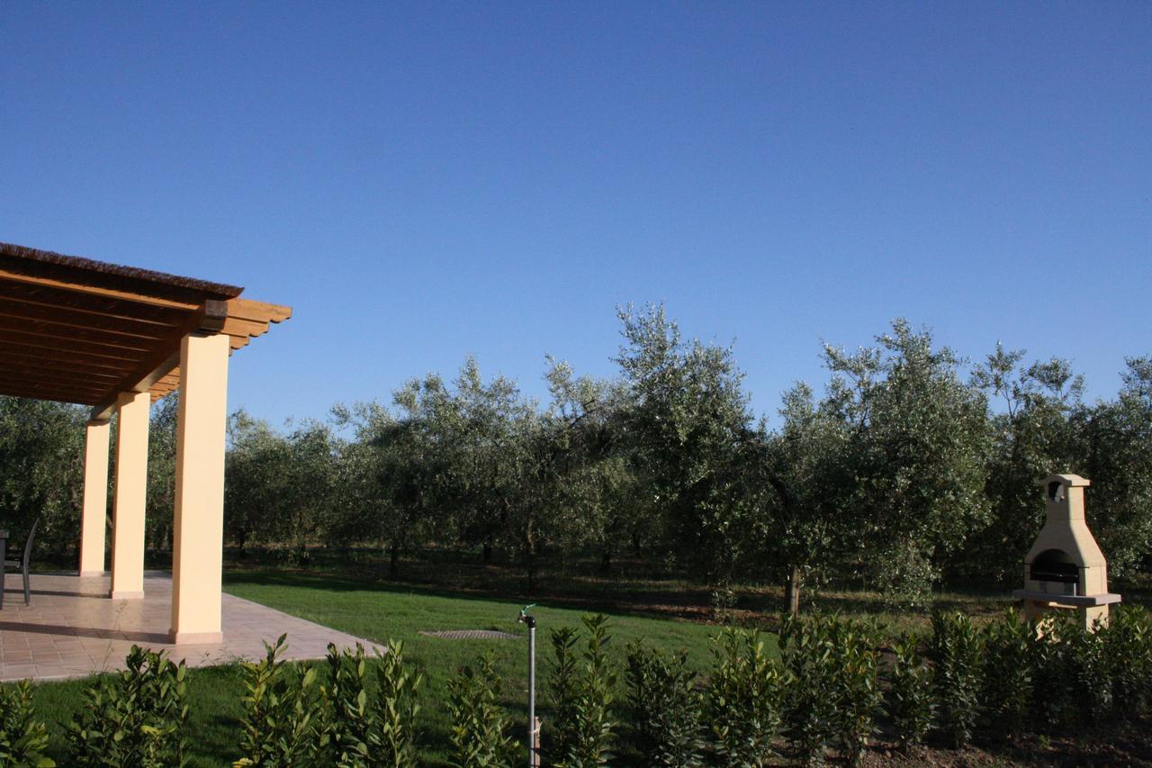 Agriturismo Dallolivo ボルゲリ エクステリア 写真